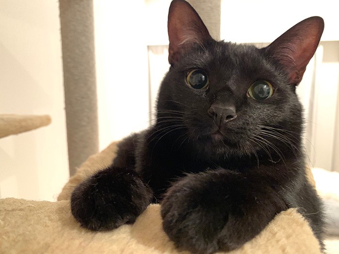 ゴメズの真っ直ぐな眼差し