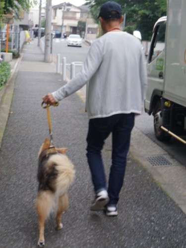 明日も一緒に町を歩こう「また皆にも会えるね」