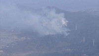 山火事の現場　24日午後4時半ごろ