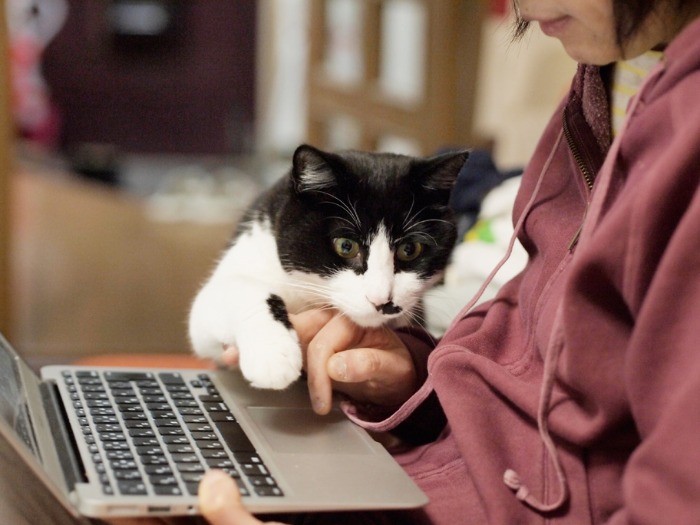 「ぼくにもやらせて」（小林写函撮影）