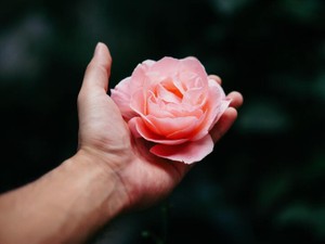 意見を言うことが苦手な私が知った。言葉は人と人を繋ぐもの