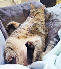 6歳を迎えた虎太郎くん（画像提供：まぁ-ﾁｬﾝさん）