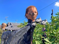 愛媛県のさまざまな風景を撮影、紹介しているもふもふ愛媛さん（画像提供：もふもふ愛媛さん）