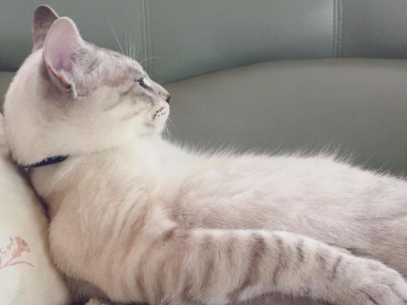 おじさん寝をするＴＡＯ（今は実家で暮す）