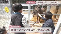 池田動物園　春のマシマシフェスティバル2026