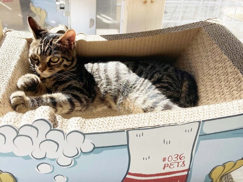 陽光風呂に入浴中（ユイトママ提供）