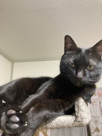 現在のはなちゃん
