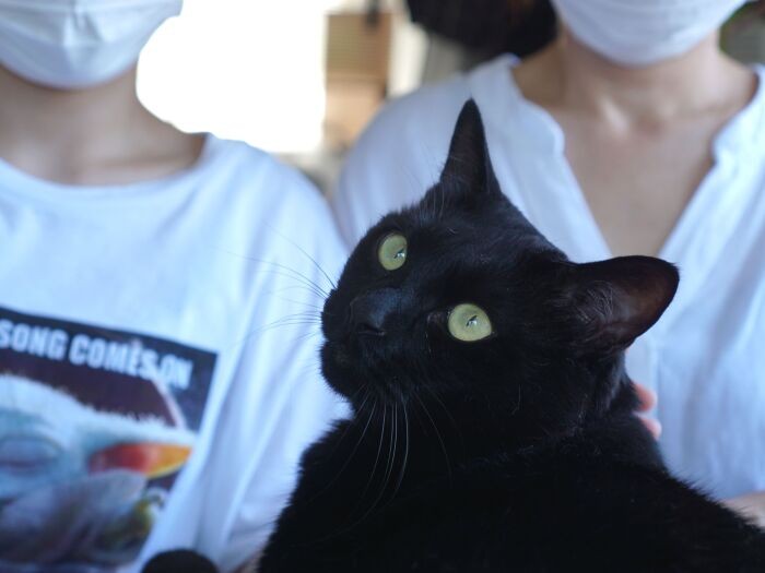 「僕はのんびり皆を見守るよ」