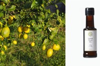 国産レモンの果皮を使ったオリーブオイルを発売　　香川・土庄町　小豆島ヘルシーランド