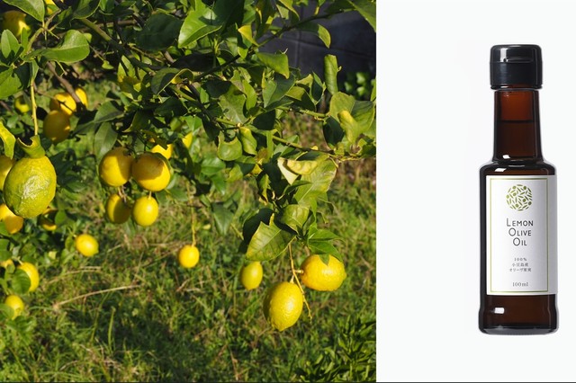 国産レモンの果皮を使ったオリーブオイルを発売　香川・土庄町　小豆島ヘルシーランド