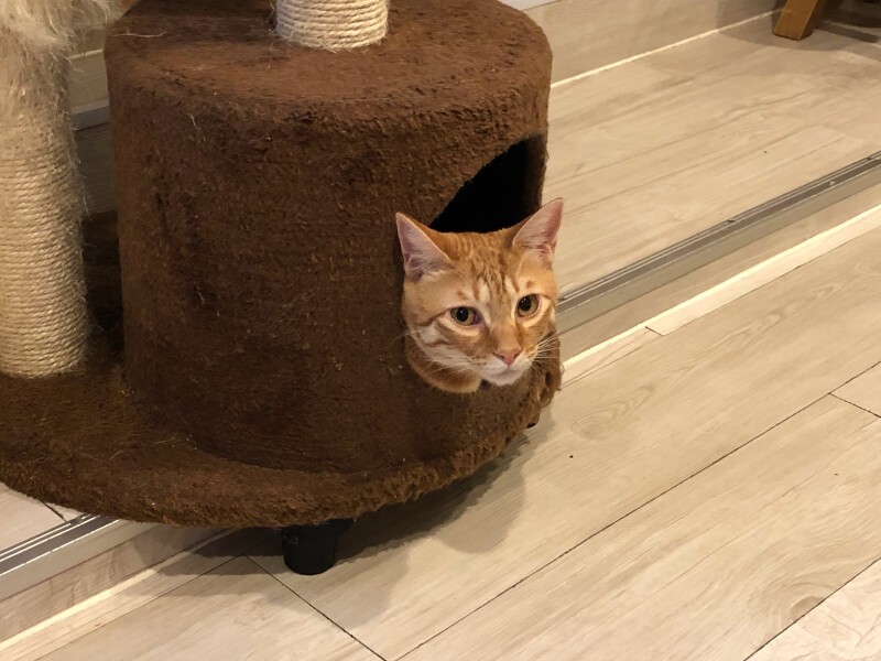 「ここではマイペースでいられるの」