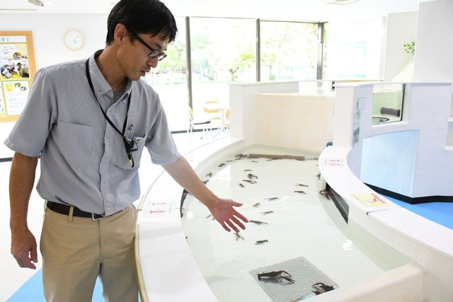 アメリカザリガニについて説明する桑原さん＝島根県出雲市園町