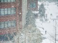 牡丹雪、パウダースノー、雪かき、石油も凍るような寒さ、雪の降る地で暮らす人だけが味わえる景色
