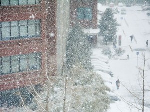 牡丹雪、パウダースノー、雪かき、石油も凍るような寒さ、雪の降る地で暮らす人だけが味わえる景色