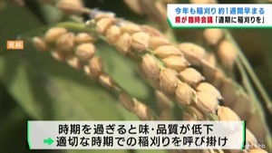 高温続きで適切な時期の稲刈りを宮城県が呼び掛け　宮城・大崎市の極早稲種の新米は全て一等米