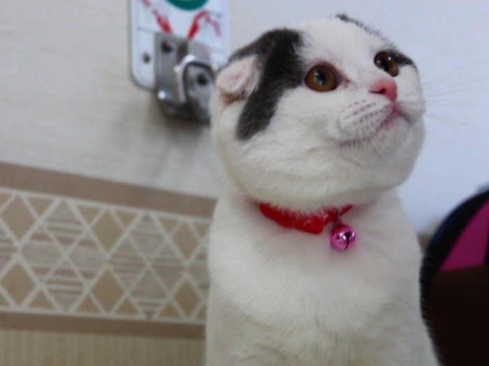 今日のおけいこも楽しかったな