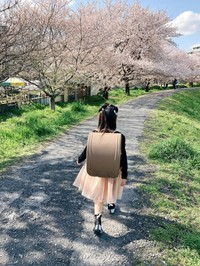 桜並木で撮影したランドセル姿の後ろ姿／iroさん（@iii_ro___）提供