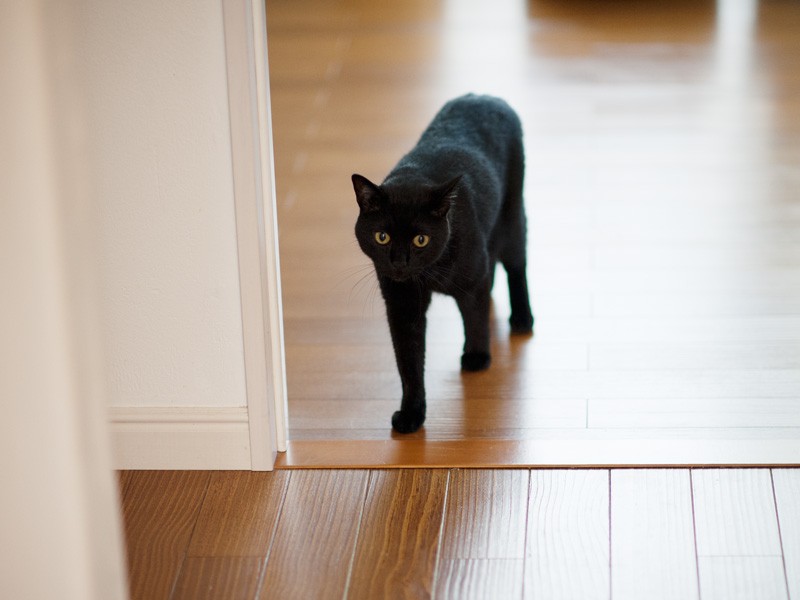 「最近ちょっと右肩が凝るんだ」（小林写函撮影）