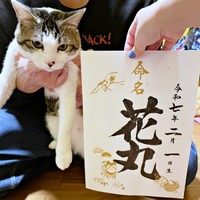 花丸くんと命名（画像提供：*ig*さん）