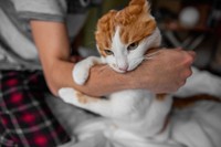 ※画像はイメージです(farmuty／stock.adobe.com)