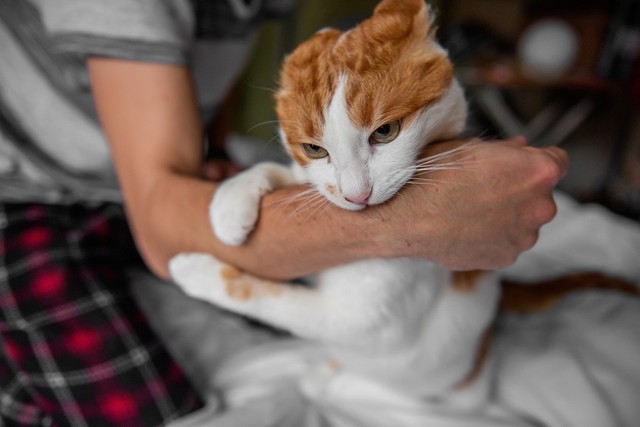 ※画像はイメージです(farmuty／stock.adobe.com)