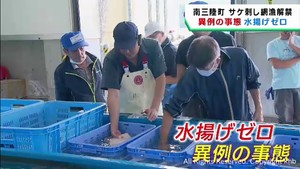 秋サケ刺し網漁が解禁　宮城・南三陸町で水揚げゼロ　異例の事態