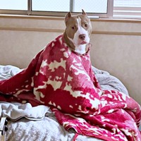 百人一首の蝉丸みたいなアンちゃん（画像提供：アン-ANNE-さん）