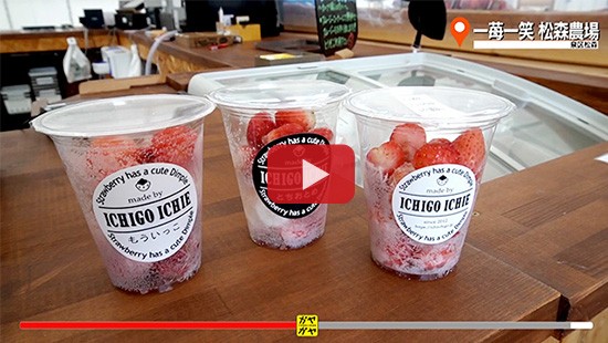 #518一苺一笑 松森農場②