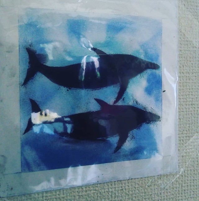 娘さんが小学一年生で描いた「黒いイルカ」／生藤農園さん（@ikefujinouen_c.lover）提供