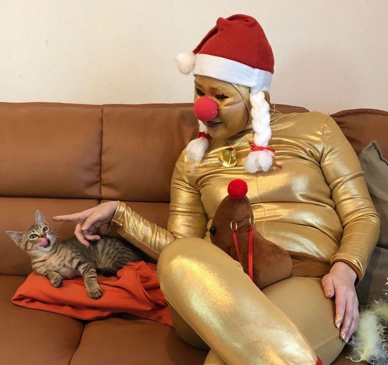 「今日はトナカイさんよ」