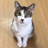 マイペースで末っ子気質なところが愛らしいかぢめくん（画像提供：かさねさん）