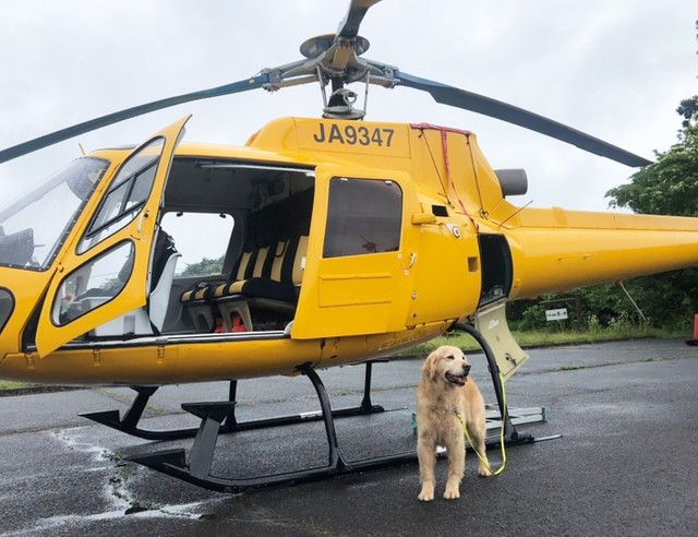 ハルクは今日も訓練を重ね、被災地への出動に備えています