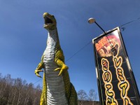 見上げたらこのド迫力（提供画像）