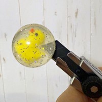 ひよこの救出作戦がスタートしました.（画像提供：こびとやさん）