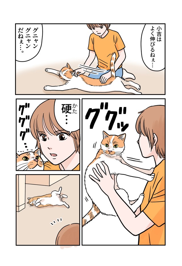 【漫画】『うちの猫らは誰も願いを叶えてくれない』2（たなかふじもとさん提供）