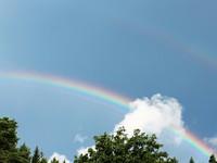 「29歳のレッテル」を貼ってくる人達を斬り捨て、未来へ進み続ける