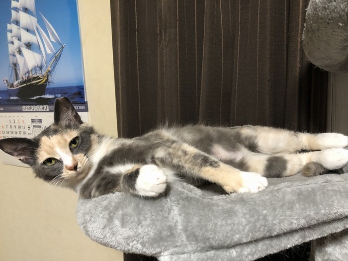 いまではすっかり懐いている