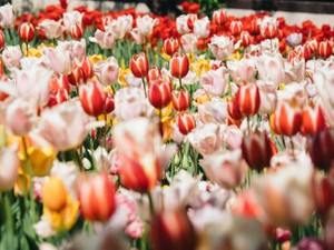 マラソンにお金を注いできた私が、高級な化粧品を買って気付いた変化