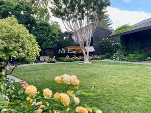 サンフランシスコのミシュラン三つ星レストラン は生き残れるか