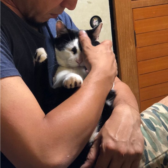 おとんに抱かれたり（夏子さん提供）