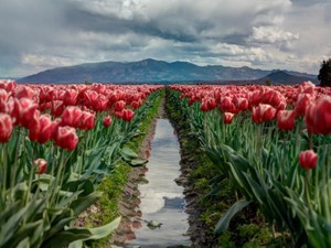 愛されたいけれど、まだ「ありのままの私」を愛してもらう覚悟がない