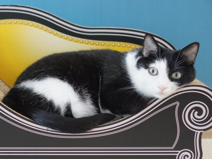 「私はナタリー・ポートマンみたいっていわれるわよ」