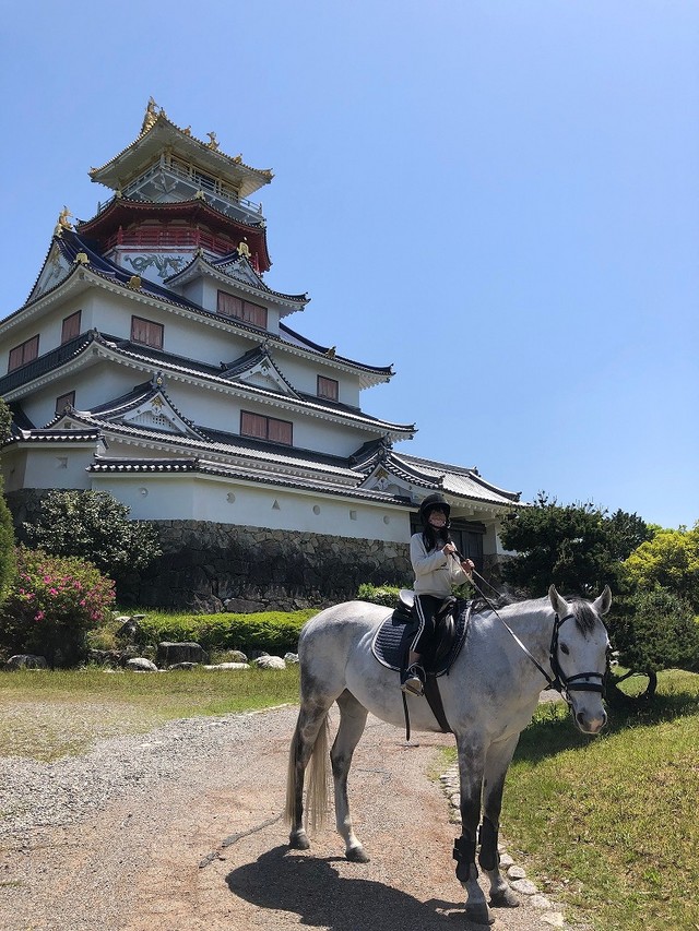青い大空とお城と白い馬