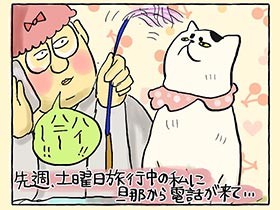 「猫の日」に上書き保存された、ワシらの記念日