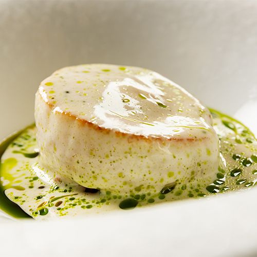 ARMANI:RISTORANTE_ホタテ　500_4