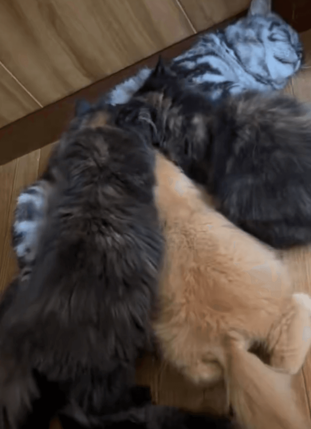 「吸いたいなら吸ったらよろし」ウツワのデカイ兄貴分