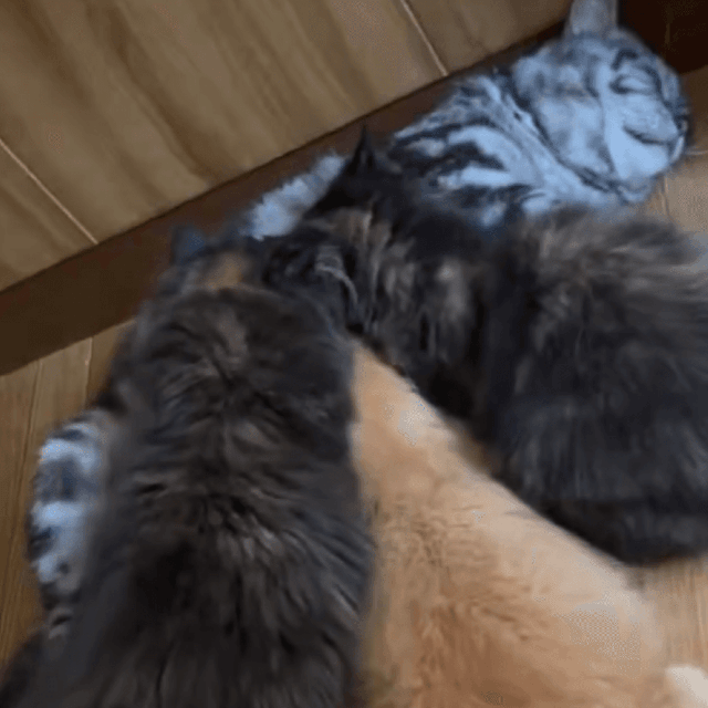 「吸いたいなら吸ったらよろし」ウツワのデカイ兄貴分