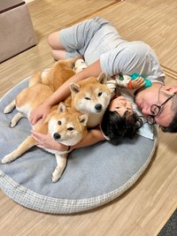 ご主人、娘さん、こむぎくん、わらびちゃんで団らん中…（提供：シヴァ犬こむぎっす🐾豆シヴァわらびさん）