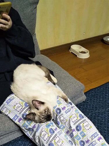 このひざも、アタシのもの（金地さん提供）