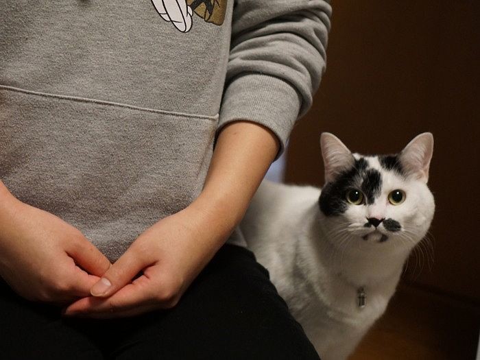 かえでさんの横で一緒に取材を受けるこまち